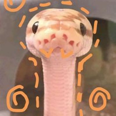 Nelliminiblox