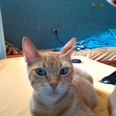 AZER123