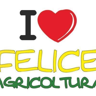 Felice Curcetti